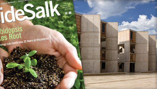 The Salk Institute